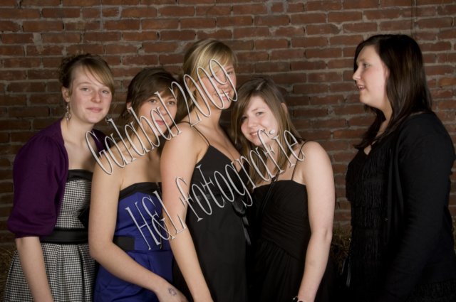 gala_337.jpg